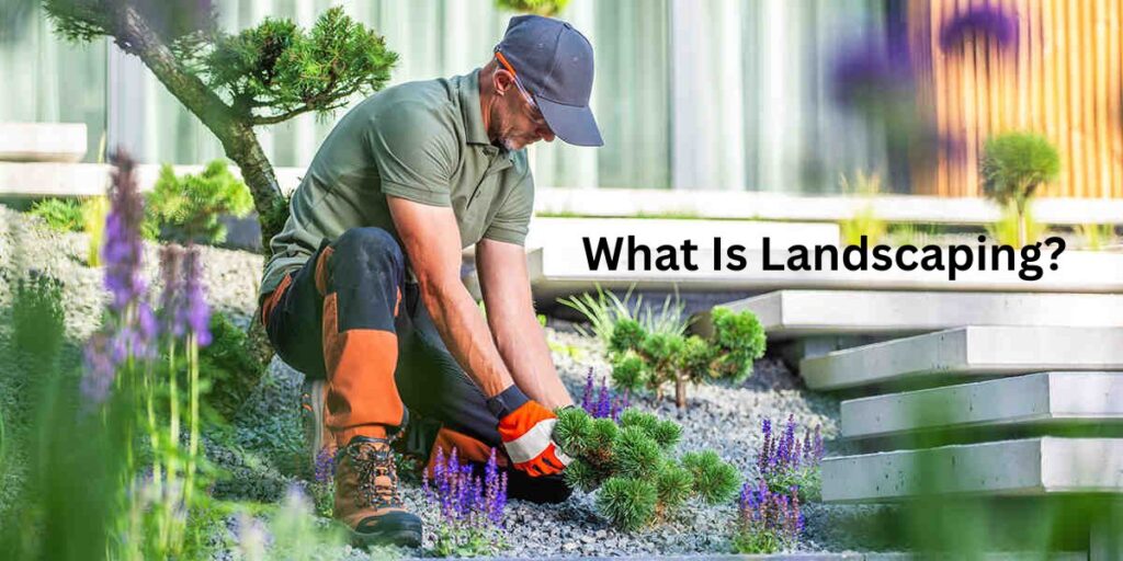 What Is Landscaping? 7 Powerful Benefits Explained