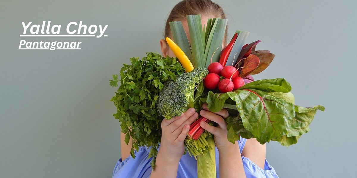 Yalla Choy: Benefits, Uses & Why You Should Eat It