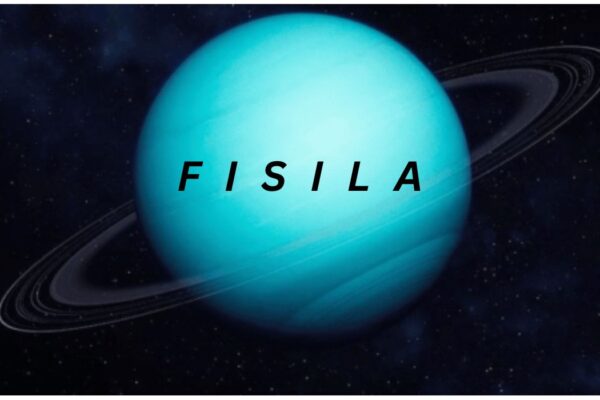 Fisila: A Complete Guide to Meaning, Uses, and Practical Importance