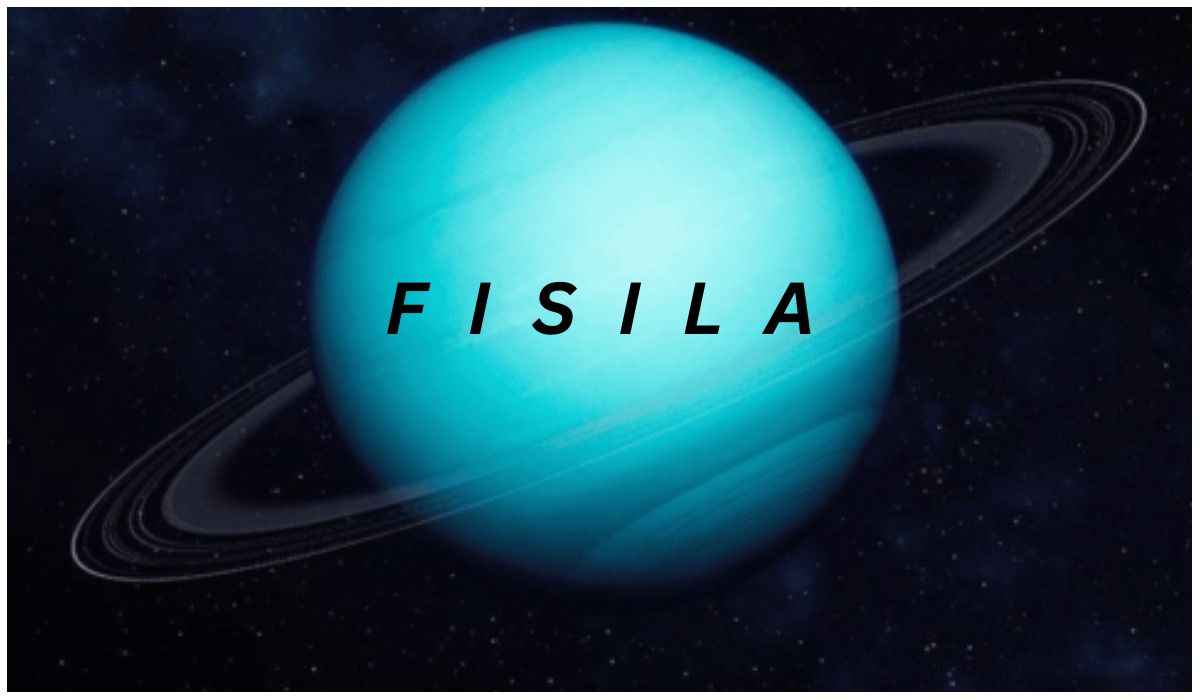 Fisila: A Complete Guide to Meaning, Uses, and Practical Importance