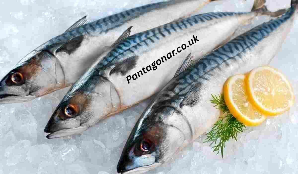 Listao Tuna: Complete Guide to Species, Nutrition, Fishing, and Market Value