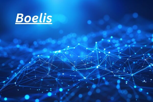 Boelis Meaning, Origins & Modern Business Relevance